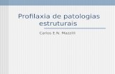 Profilaxia de patologias estruturais Carlos E.N. Mazzilli.
