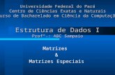 Estrutura de Dados I Profº.: ABC Sampaio Matrizes & Matrizes Especiais Universidade Federal do Pará Centro de Ciências Exatas e Naturais Curso de Bacharelado.