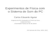 Experimentos de Física com o Sistema de Som do PC Carlos Eduardo Aguiar Programa de Pós-Graduação em Ensino de Física Instituto de Física Universidade.