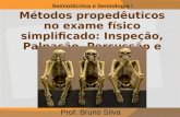 Métodos propedêuticos no exame físico simplificado: Inspeção, Palpação, Percussão e Ausculta. Prof. Bruno Silva Semiotécnica e Semiologia I.