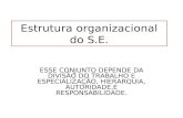 Estrutura organizacional do S.E. ESSE CONJUNTO DEPENDE DA DIVISÃO DO TRABALHO E ESPECIALIZAÇÃO, HIERARQUIA, AUTORIDADE,E RESPONSABILIDADE.