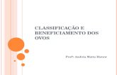CLASSIFICAÇÃO E BENEFICIAMENTO DOS OVOS Prof a : Andréa Matta Ristow.