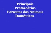 Principais Protozoários Parasitas dos Animais Domésticos.
