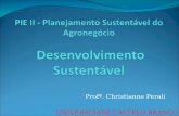 UNIVERSIDADE CASTELO BRANCO Profª. Christianne Perali.