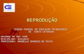 REPRODUÇÃO CENTRO FEDERAL DE EDUCAÇÃO TECNOLÓGICA DE SANTA CATARINA UNIDADE DE SÃO JOSÉ DISCIPLINA: BIOLOGIA PROFESSORA: ANABELLE BARROSO DE PAIVA.