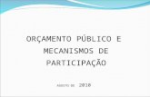 ORÇAMENTO PÚBLICO E MECANISMOS DE PARTICIPAÇÃO AGOSTO DE 2010.