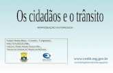 Projeto Câmara-Mirim – 2ª sessão – 2ª legislatura Data: 15 de abril de 2009 Instrutor: Edmar Soares Pereira Filho – Técnico do Sistema de Trânsito da.