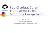 Pós-Graduação em Planejamento de Sistemas Energéticos UNICAMP Arnaldo Walter (awalter@fem.unicamp.br)
