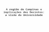 A região de Campinas e inplicações dos Decretos: a visão da Universidade.
