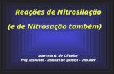 Reações de Nitrosilação Marcelo G. de Oliveira Prof. Associado – Instituto de Química – UNICAMP (e de Nitrosação também)