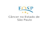 Câncer no Estado de São Paulo. R.H.C. - Situação Atual 62 instituições com RHC implantado, sendo 52 CACON e 10 voluntárias. O banco de dados estadual.