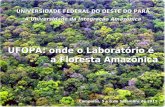 Campinas, 5 e 6 de Setembro de 2011 UNIVERSIDADE FEDERAL DO OESTE DO PARÁ A Universidade da Integração Amazônica UFOPA: onde o Laboratório é a Floresta.