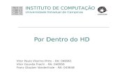 Por Dentro do HD Vitor Paulo Vilarino Pinto – RA: 046961 Vitor Gouvêa Frachi – RA: 046956 Franz Glauber Vanderlinde – RA: 043648 INSTITUTO DE COMPUTAÇÃO.