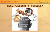 Ciências. Aula 01 Neurociências Como funciona a memória?