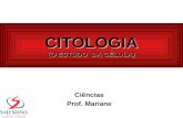 Ciências Prof. Mariane CITOLOGIA (O ESTUDO DA CÉLULA)