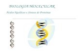 BIOLOGIA MOLECULAR Ácidos Nucléicos e Síntese de Proteínas.