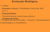 Evolução Biológica Idéias: - Fixismo (adepto: Aristóteles cerca de 300 a.C.); - Criacionismo; - Transformismo como base para o Evolucionismo Evidências.