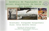 Genética de Populações de peixes migratórios da bacia do Rio Grande Orientador: Evanguedes Kalapothakis Aluno: Artur Botelho Veloso Instituto de Ciências.