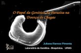 O Papel da Genética do Parasita na Doença de Chagas Juliana Ramos Pimenta Laboratório de Genética - Bioquímica, UFMG.