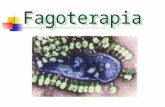 Introdução Fagoterapia foi inicialmente desenvolvida no início do século XX Pouco usada no Oeste desde o advento do antibiótico nos anos 40 Pesquisa e.