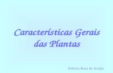 Características Gerais das Plantas Patrícia Rosa de Araújo.