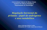 Regulação hormonal da próstata : papel de andrógenos e seus metabólitos Universidade Federal de Minas Gerais Instituto de Cîências Biológicas Departamento.