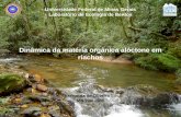 Universidade Federal de Minas Gerais Laboratório de Ecologia de Bentos Dinâmica da matéria orgânica alóctone em riachos Fernanda de Oliveira Silva Maio.