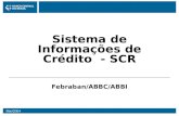 Mai/2004 Sistema de Informações de Crédito - SCR Febraban/ABBC/ABBI.