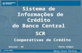 19/07/2003 Porto Alegre Sistema de Informações de Crédito do Banco Central SCR Cooperativas de Crédito Unicred - RS Vânio Cesar Pickler Aguiar.