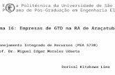 Escola Politécnica da Universidade de São Paulo Programa de Pós-Graduação em Engenharia Elétrica Tema 16: Empresas de GTD na RA de Araçatuba Planejamento.