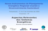 Aspectos Relevantes dos Sistemas Energéticos Ricardo Lacerda Baitelo Treinamento – 3, 4 e 5 de novembro de 2004 Araçatuba - SP Novos Instrumentos de Planejamento.
