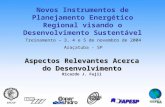 Aspectos Relevantes Acerca do Desenvolvimento Ricardo J. Fujii Treinamento – 3, 4 e 5 de novembro de 2004 Araçatuba - SP Novos Instrumentos de Planejamento.