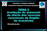 TEMA 2 Avaliação do potencial de oferta dos recursos renováveis da Região de Araçatuba Seminários e Trabalhos Individuais Planejamento Integrado de Recursos.