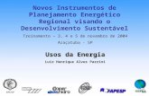 Usos da Energia Luiz Henrique Alves Pazzini Treinamento – 3, 4 e 5 de novembro de 2004 Araçatuba - SP Novos Instrumentos de Planejamento Energético Regional.