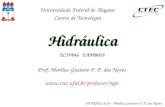 HIDRÁULICA – Marllus Gustavo F. P. das Neves Hidráulica ECIV046 EAMB029 Prof. Marllus Gustavo F. P. das Neves  Universidade.