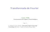 Transformada de Fourier Curso PISB: Processamento de Imagens e Sinais Biológicos Cap. 2 : K. Najarian and R. Splinter, Biomedical Signal and Image Processing.