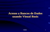 VBDB011 Acesso a Bancos de Dados usando Visual Basic.