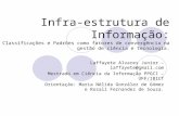 Infra-estrutura de Informação: Classificações e Padrões como fatores de convergência na gestão de ciência e tecnologia. Laffayete Alvares Junior – laffayete@gmail.com.