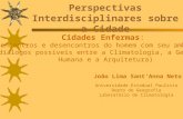 Perspectivas Interdisciplinares sobre a Cidade João Lima SantAnna Neto Universidade Estadual Paulista Depto de Geografia Laboratório de Climatologia Cidades.