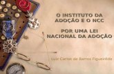 O INSTITUTO DA ADOÇÃO E O NCC POR UMA LEI NACIONAL DA ADOÇÃO Luiz Carlos de Barros Figueirêdo.