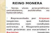 REINO MONERA Seres vivos procarióticos; unicelulares; autótrofos ou heterótrofos. Representado por Arqueas (espécies que habitam ambientes com condições.