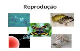 Reprodução. Reprodução Característica de todos os seres vivos Garante a perpetuação das espécies Pode ser classificada em dois tipos: assexuada e sexuada.