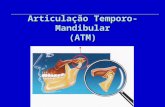 Articulação Temporo- Mandibular (ATM). Articulação Têmporo- mandibular 1.dois ossos; 2.cápsula; 3.cavidade articular; 4.líquido sinovial; 5.membrana sinovial;
