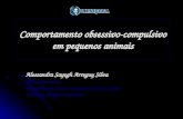 Comportamento obsessivo- compulsivo em pequenos animais Alessandra Sayegh Arreguy Silva Médica Veterinária Especialista em clínica e cirurgia de pequenos.