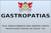 Prof. PAULO RENATO DOS SANTOS COSTA UNIVERSIDADE FEDERAL DE VIÇOSA - MG GASTROPATIAS.