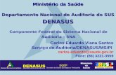 Departamento Nacional de Auditoria do SUS DENASUS Carlos Eduardo Viana Santos Serviço de Auditoria/DENASUS/MS/PI carlos.eduardo@saude.gov.br Fone: (86)