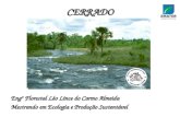 CERRADO Engº Florestal Léo Lince do Carmo Almeida Mestrando em Ecologia e Produção Sustentável.