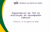 Experiência do TCU na avaliação de desempenho laboral Teresina, 27 de agosto de 2010.