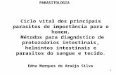 1 Edna Marques de Araújo Silva Ciclo vital dos principais parasitos de importância para o homem. Métodos para diagnóstico de protozoários intestinais,