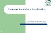 1 Sistemas Paralelos e Distribuídos Sistemas de Multimídias.